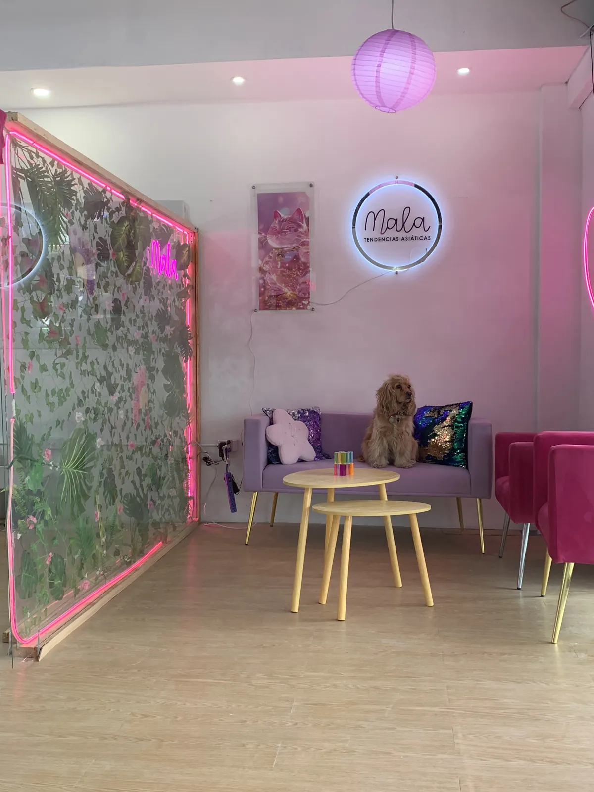 Mala Salon — equipo y espacio